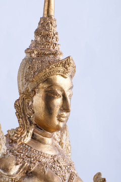 金尊