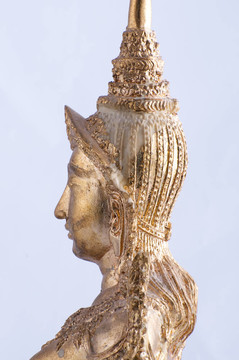 金尊
