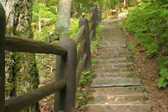 在Woods 2步小道