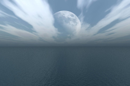 Moon在海洋