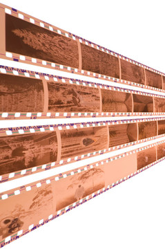 白人對(duì)白人的否定