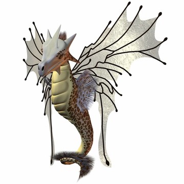 奇幻精靈龍