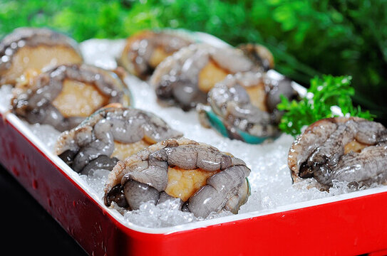 鮑魚(yú)仔