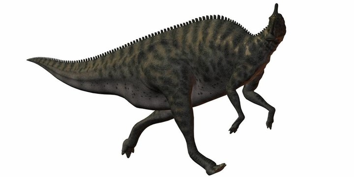 櫛龍angustirostris-3d恐龍