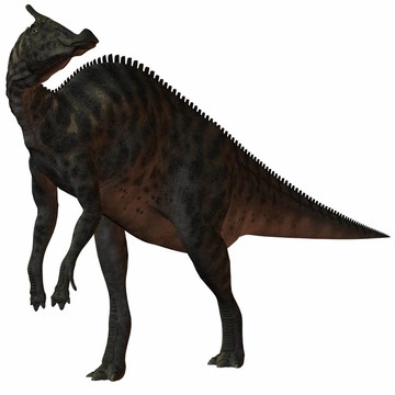 櫛龍angustirostris-3d恐龍