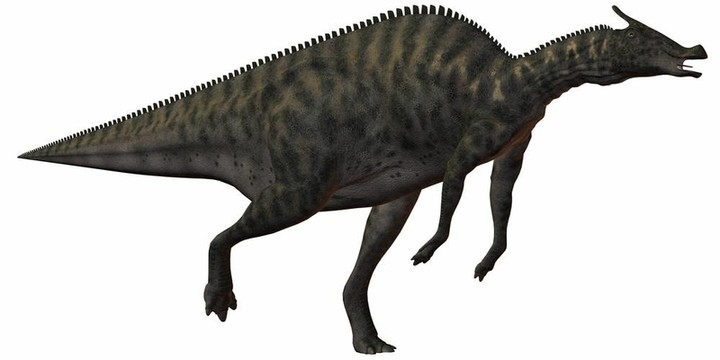 櫛龍angustirostris-3d恐龍