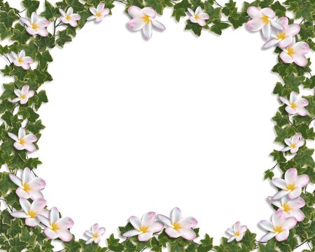 常春藤和雞蛋花花邊的邀請(qǐng)