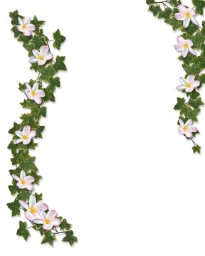 常春藤和雞蛋花花邊的邀請(qǐng)
