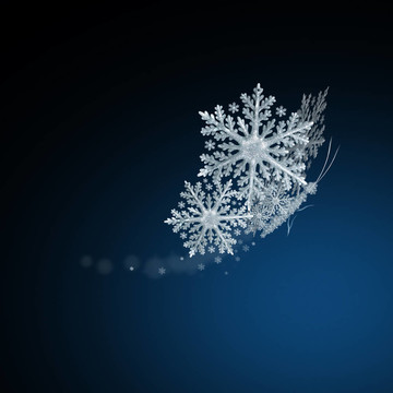 雪蝶