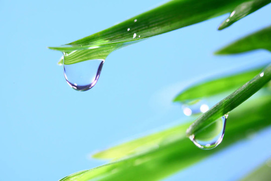 大水滴