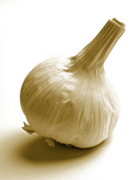 大蒜鱗莖