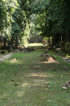 公園街公墓；加爾各答；印度