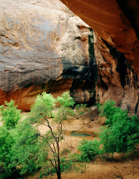 石窟和拱；峽谷區(qū)國(guó)家公園；Moab；猶他