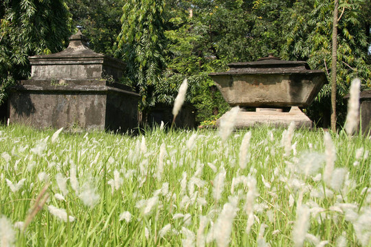 公園街公墓；加爾各答；印度