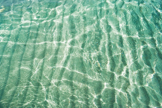 透明的海