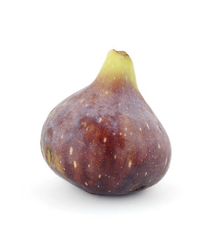 圖