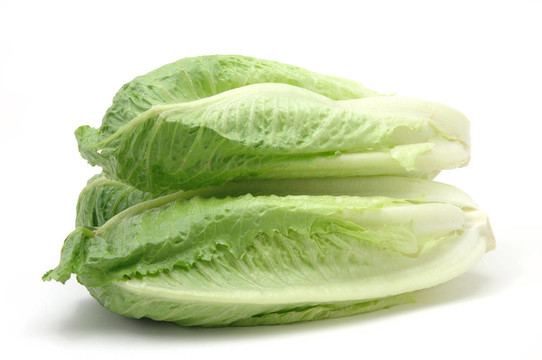 生菜