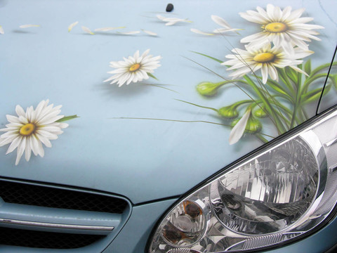 汽車花畫