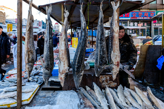 賣凍魚