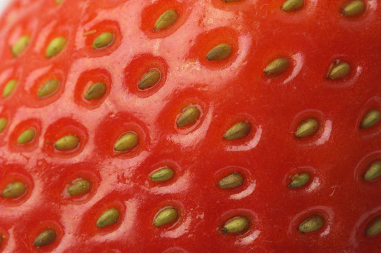 Strawberry的特寫