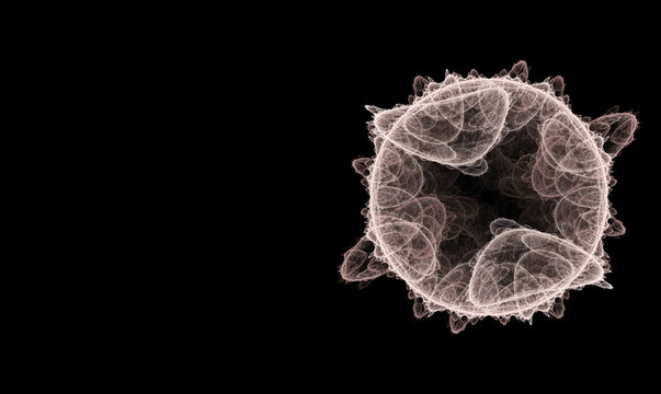 孢子或微生物分形
