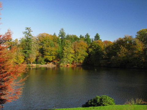 城堡尼約勒花園湖