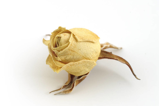 白玫瑰干花蕾