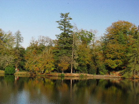城堡尼約勒花園湖