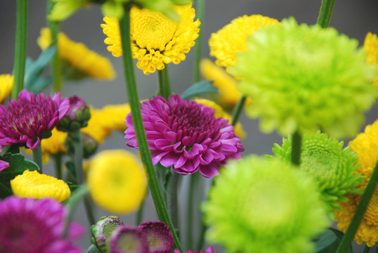 Mums Bouquet我