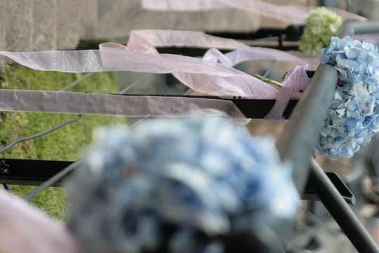 欄桿上的藍色花朵