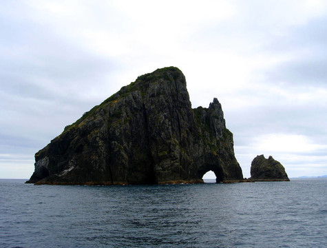 石中洞（motukokako島）；新西蘭