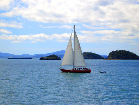 通過島嶼海灣航行；新西蘭