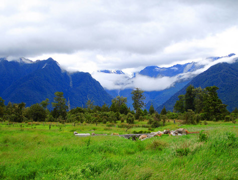 低沉的云層覆蓋庫(kù)克山和塔斯曼山。（Lake Matheson走道與前景小橋）