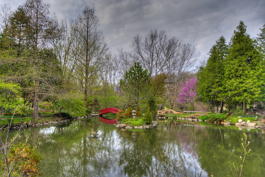 公園