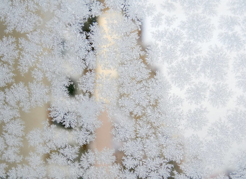 冰冷的雪花