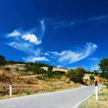 農(nóng)村公路