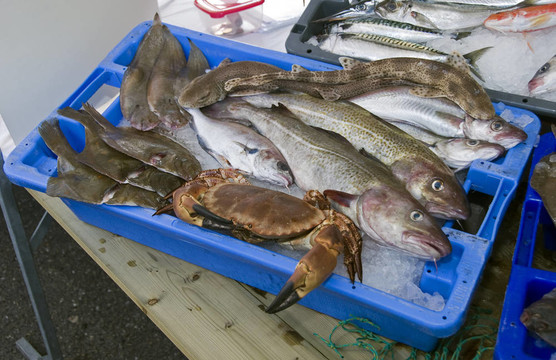 魚市場