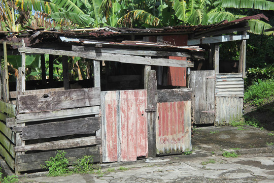 加勒比的小屋