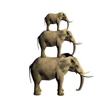 白色的3D大象