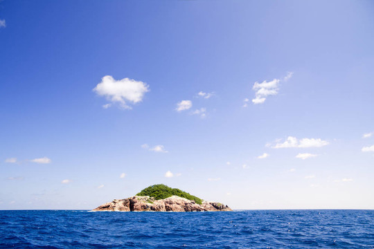 鰹鳥(niǎo)島