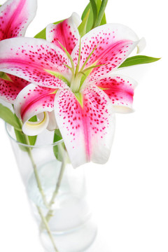 火百合花瓶