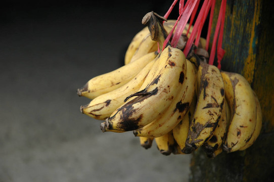香蕉