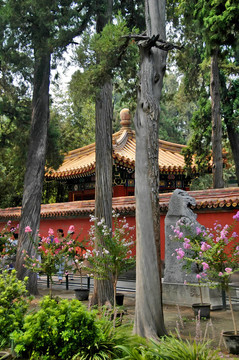紫禁城