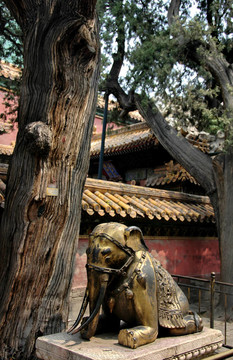 紫禁城