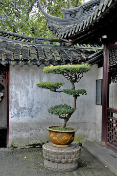 中國園林