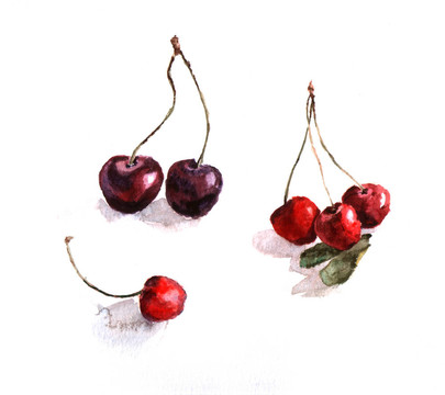 水彩畫(huà)的櫻桃