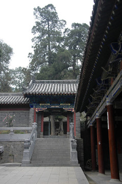 少林