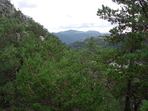 山水風(fēng)光