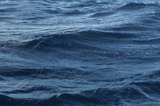 海洋的水