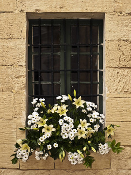 窗和Flowers